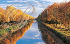SAINT-PORQUIER (82) - le canal du Midi à l'automne