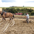 DUNES - les VIEUX PISTONS : Labourage avec un cheval postier breton