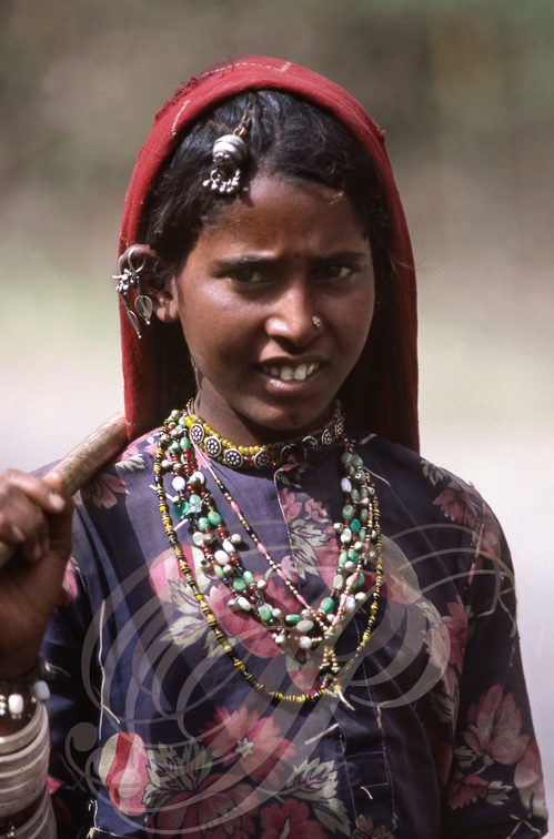 INDE (Rajasthan) - nord de Sawai-Madhopur : jeune nomade (portrait)