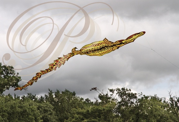 EAUZE (France - 32)  - FESTIVAL GALOP ROMAIN - démonstration de cerfs volants chinois : le crocodile