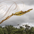 EAUZE (France - 32)  - FESTIVAL GALOP ROMAIN - démonstration de cerfs volants chinois : le crocodile