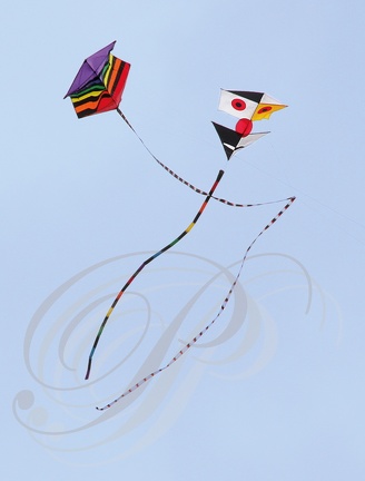 EAUZE (France - 32)  - FESTIVAL GALOP ROMAIN - démonstration de cerfs volants chinois