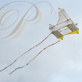 EAUZE (France - 32) - FESTIVAL GALOP ROMAIN - démonstration de cerfs volants chinois