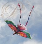 EAUZE (France - 32)  - FESTIVAL GALOP ROMAIN - démonstration de cerfs volants indonésiens : le phénix