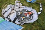 EAUZE (France - 32)  - FESTIVAL GALOP ROMAIN - démonstration de cerfs volants chinois : le tigre  
