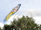 EAUZE (France - 32)  - FESTIVAL GALOP ROMAIN - démonstration de cerfs volants chinois : Neptunel