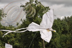 EAUZE (France - 32) - FESTIVAL GALOP ROMAIN - démonstration de cerfs volants indonésiens : l'oiseau blanc