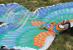 EAUZE (France - 32)  - FESTIVAL GALOP ROMAIN - démonstration de cerfs volants indonésiens : le perroquet