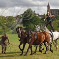 EAUZE_GALOP_ROMAIN_spectacle_equestre_de_Patrice_Raymond_347.jpg