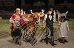 Spectacle "AU FIL de L'EAU" - tableau   5 - la foire du 15 août : la vache jersiaise (2013) 09PP81