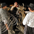 Spectacle "AU FIL de L'EAU" - tableau   5 - la foire du 15 août : la vache jersiaise (2014) FP181