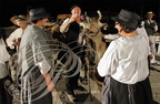 Spectacle "AU FIL de L'EAU" - tableau   5 - la foire du 15 août : la vache jersiaise (2014) FP181