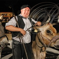 Spectacle "AU FIL de L'EAU" - tableau   5 - la foire du 15 août  : la vache jersiaise (2014) FP185