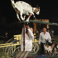 Spectacle "AU FIL de L'EAU" - tableau   5 - la foire du 15 août : le cirque ambulant (2012) 09PP63