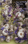 SAINT-CLAR - Marché de l'Ail : tresses d'ail blanc fleuries