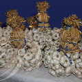SAINT-CLAR - Fête de l'Ail - concours de tresses d'ail (gerbes d'ail blanc)