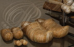 SAINT-CLAR - MAISON de l'AIL - exposition de maquettes réalisées avec des tiges d'ail par la famille Gamot : sabots