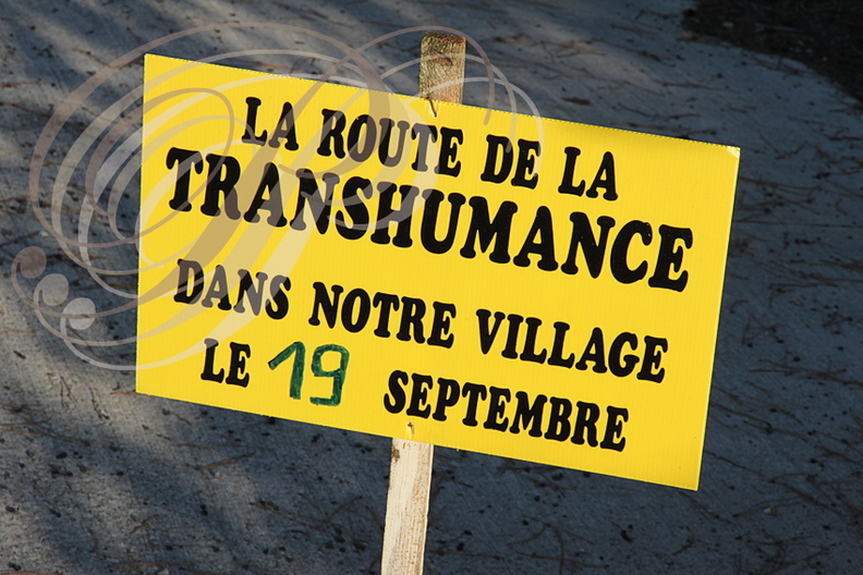 LE_HOUGA_Transhumance_panneau_de_signalisation.jpg