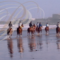 CASABLANCA - Plage à l'ouest de la pointe d'Aïn Diab : entrainement des chevaux de course à l'aube