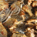 PERCHÈDE - étang du PESQUÉ - journée de mise en assec  (tronçons de tanches grillés à la graisse de canard)