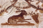 SOUSSE (Tunisie) - Musée des mosaïques romaines (IIe siècle) : lièvre mangeant des raisins
