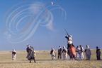 DOUZ - Festival du Sahara (acrobaties équestres)