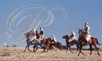 DOUZ (Tunisie) - Festival du Sahara (cavaliers de fantasia)