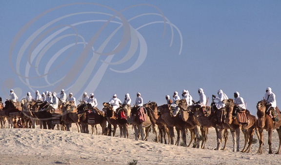 DOUZ - Festival du Sahara (course de dromadaires : le départ)