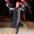 NOËL en CIRQUE 2012 à Valence d'Agen 2012 : GIANLUCA RANZAN et ses perroquets (Italie) 