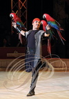 NOËL en CIRQUE 2012 à Valence d'Agen 2012 : GIANLUCA RANZAN et ses perroquets (Italie) 