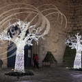 LECTOURE - les nuits de lumières : arbres illuminés devant le porche de la cathédrale Saint-Gervais et Saint-Protais