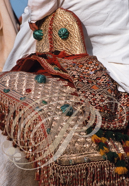 FANTASIA (Maroc) - harnachement : selle brodée aux fils d'or