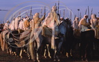 FANTASIA (Maroc) - les cavaliers avant la charge