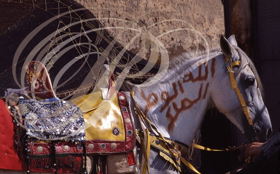 FANTASIA (Maroc) - harnachement : selle du Moyen-Atlas