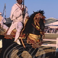 FANTASIA (Maroc) - cheval Barbe harnaché et son cavalier 