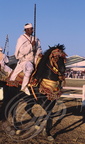 FANTASIA (Maroc) - cheval Barbe harnaché et son cavalier 