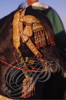 FANTASIA (Maroc) - harnachement de tête brodé de fils d'or  - CHEVAL BARBE   