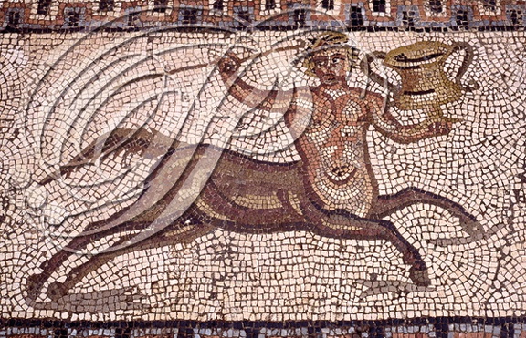 VOLUBILIS - La maison de l 'éphèbe : mosaïque romaine représentant un centaure