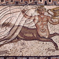 VOLUBILIS - La maison de l 'éphèbe : mosaïque romaine représentant un centaure