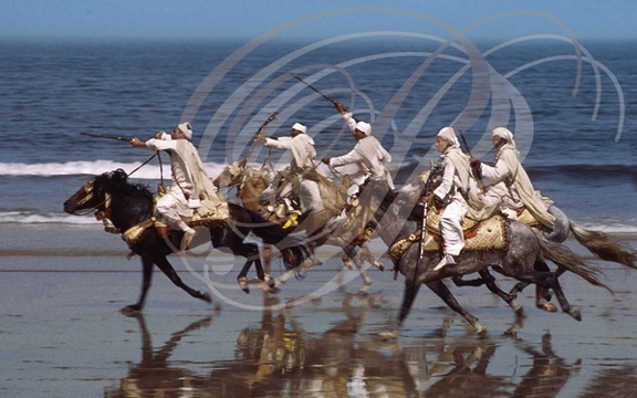 CHEVAL BARBE - Cavaliers de FANTASIA (plage de El Jadida - Maroc)