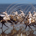 CHEVAL BARBE - Cavaliers de FANTASIA (plage de El Jadida - Maroc)