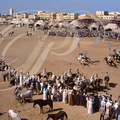 FANTASIA (Maroc) -  vue générale - charge : le baroud  (Mouloud de Meknès)