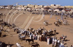 FANTASIA (Maroc) -  vue générale - charge : le baroud  (Mouloud de Meknès)