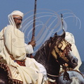 FANTASIA (Maroc) - cheval Barbe harnaché et son cavalier    
