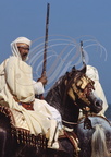FANTASIA (Maroc) - cheval Barbe harnaché et son cavalier    