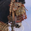 FANTASIA (Maroc) - harnachement de tête orné de fils d'or - CHEVAL BARBE     