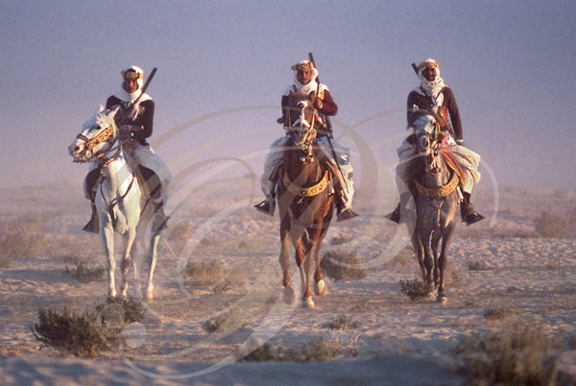 DOUZ (Tunisie) -  Festival du Sahara : cavaliers de fantasia
