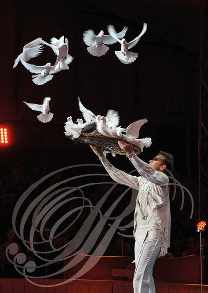 NOËL EN CIRQUE 2014 à Valence d'Agen : ANDREJS  FJODOROVS de Lettonie et ses pigeons
