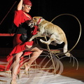 NOËL en CIRQUE 2012 à Valence d'Agen : la troupe MICHELETTY et ses animaux domestiques