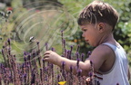 ENFANT de 2 ans et demi découvrant des fleurs et un papillon